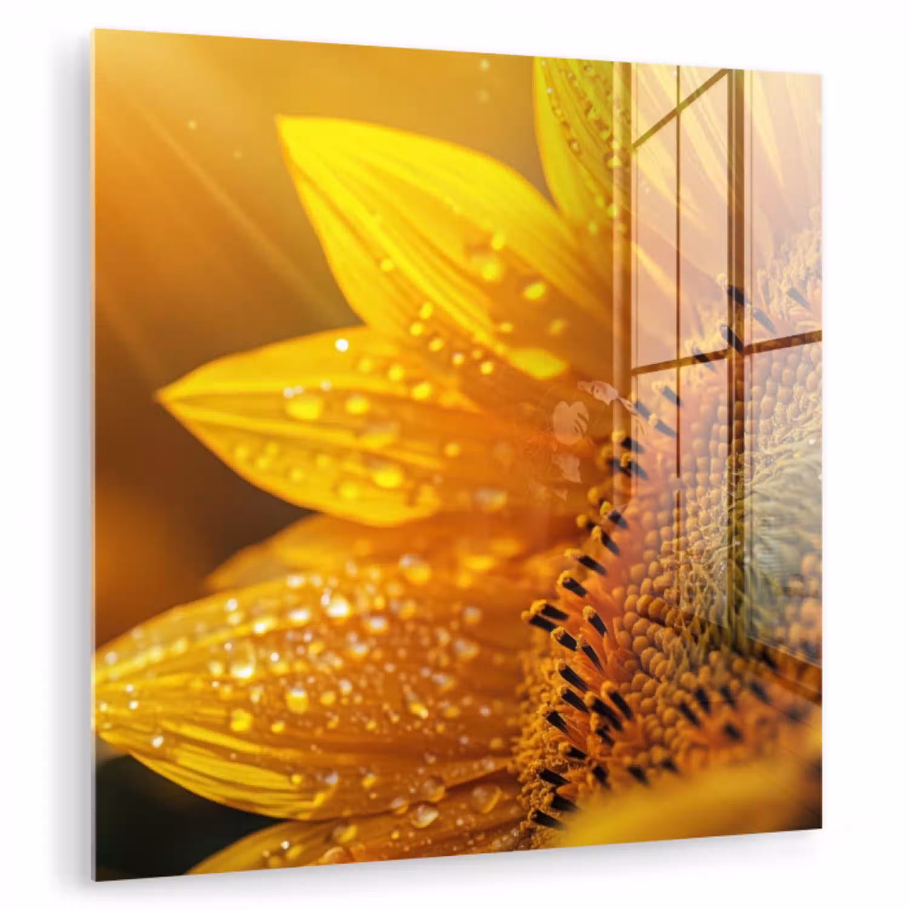 Zonnebloem - Dauwdruppels - Geel - Zonlicht plexiglas 5mm klein -zzzproduct_nieuw