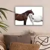 Paard - Modern - Balans canvas 2cm klein -sfeer1