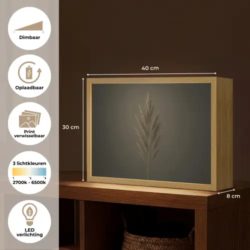 Tak - Pluimgras - Donkerbruin Light Box met batterij (Wandlamp) middel -USP_websiteoverzichtNL