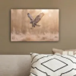 Buizerd - Roofvogel - Natuur - Bruin canvas 2cm klein -sfeer3