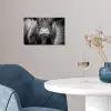 Schotse hooglander - Koe - Zwart - Wit - Dieren poster papier klein -sfeer3