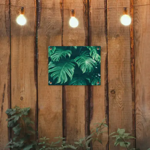 Monstera - Bladeren - Planten - Jungle - Natuur tuinposter los doek klein -sfeer1