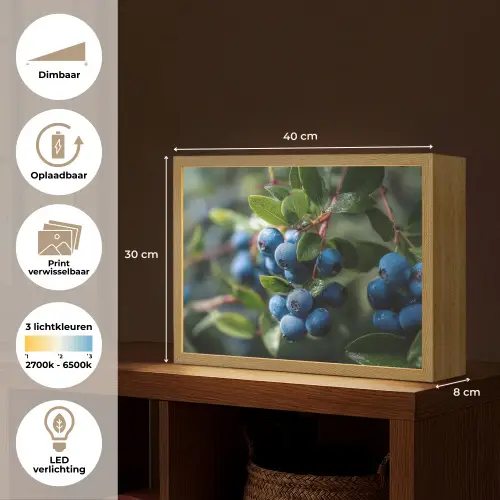 Blauwe bessen - Dauwdruppels - Natuurlijk licht Light Box met batterij (Wandlamp) middel -USP_websiteoverzichtNL