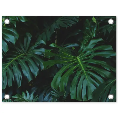 Monstera -  Inductie beschermer - Bladeren - Tropical - Afdekplaat voor kookplaat tuinposter los doek klein -3d