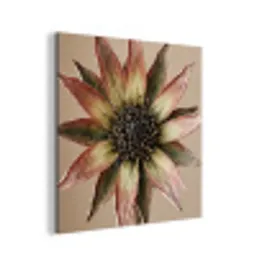 Droogbloem - Protea - Vintage - Beige - Rustiek aluminium wit klein -3d