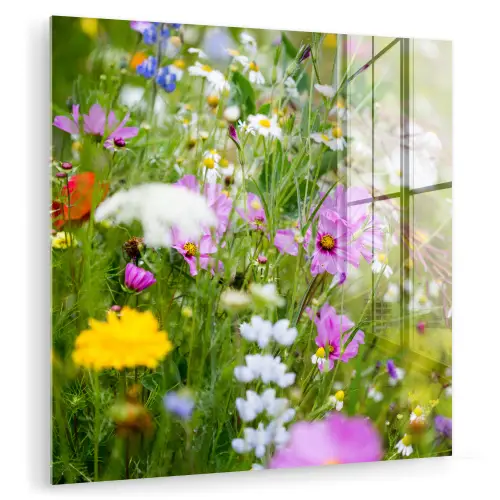 Bloemen - Natuur - Groen - Gras - Paars - Wit plexiglas 5mm klein -zzzproduct_nieuw