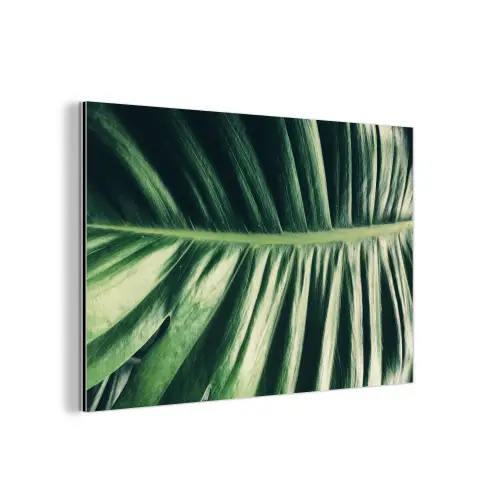 Bladeren - Tropisch - Jungle aluminium wit klein -3d