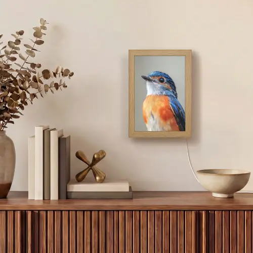 Kleurrijk - Vogeltje - Veren - Blauw Light Box met kabel (Tafellamp) klein -sfeer2