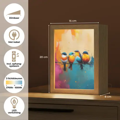 Vogels - Kleurrijk - Tak - Abstract Light Box met kabel (Tafellamp) klein -USP_NL