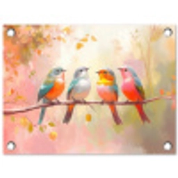 Vogels - Kleurrijk - Tak tuinposter los doek klein -3d