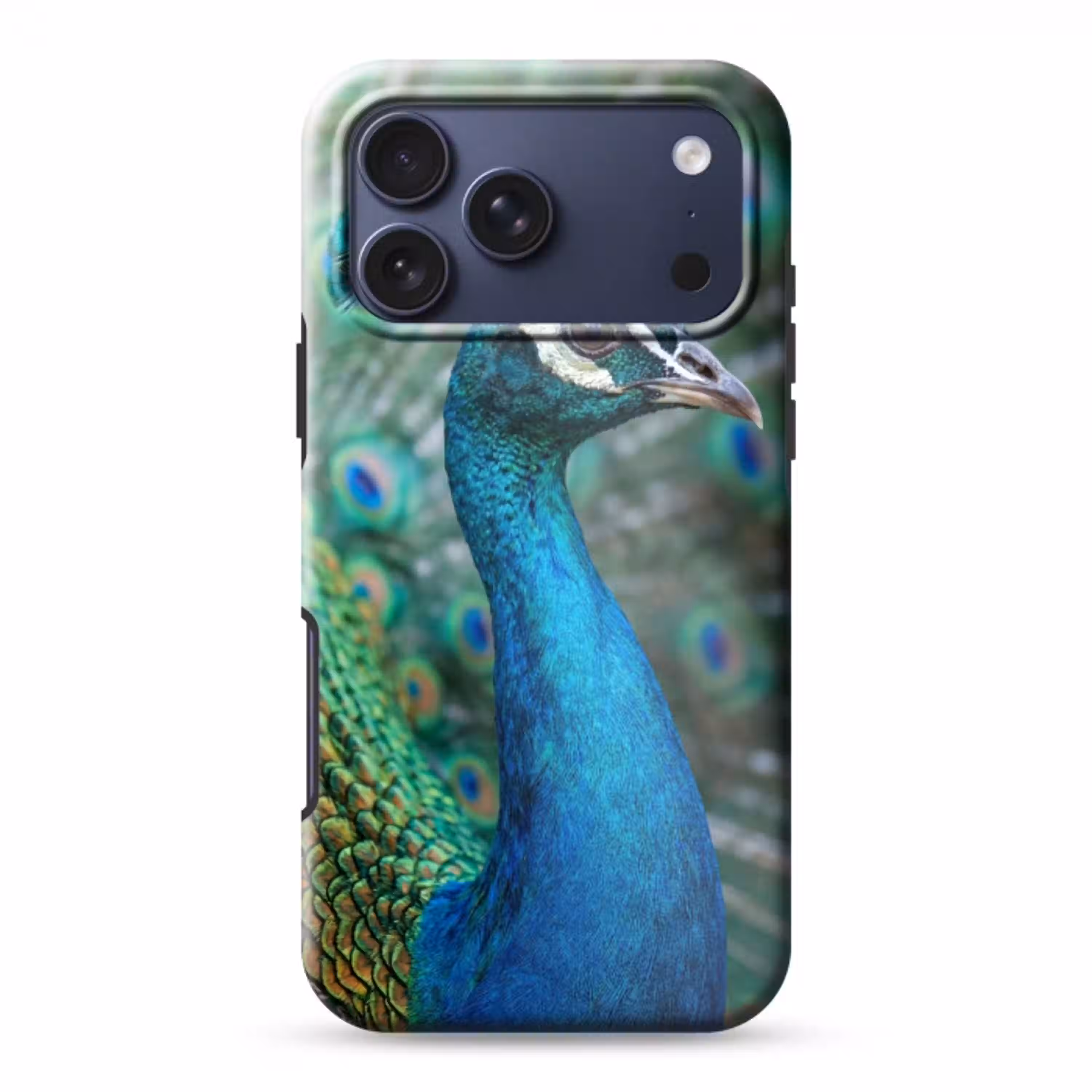Pauw - Veren - Blauw Toughcase MagSafe Apple iPhone 17 Pro Max klein -3d