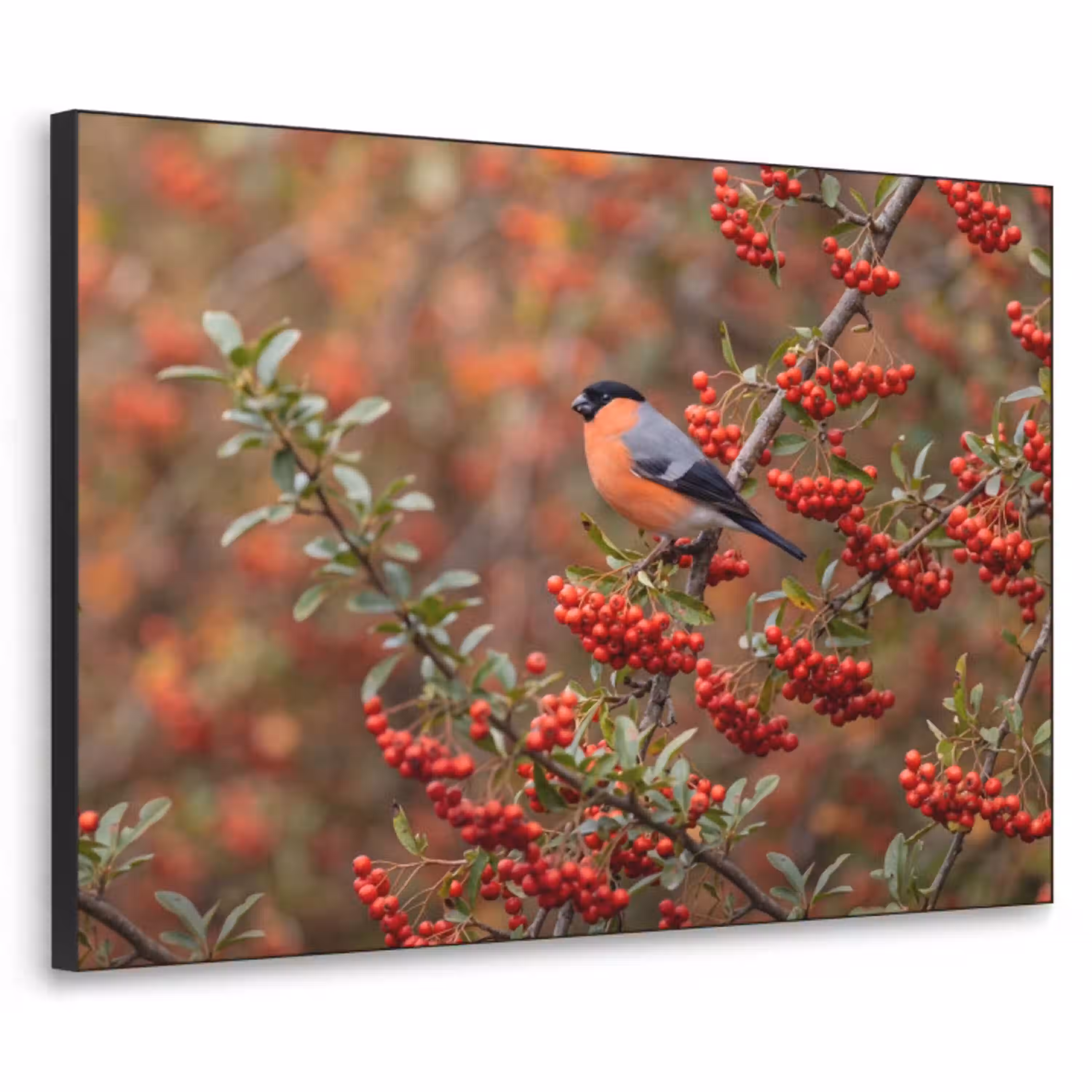 Goudvink - Bessen - Herfst - Natuur - Kleurrijk Textielframe zwart klein -3d