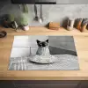 Kat - Siamees - Zwart Wit - Schattig - Dieren Inductie beschermer vinyl 3mm klein -sfeer5
