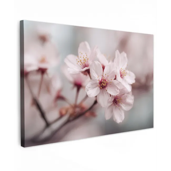 Bloesems - Meeldraden - Geel - Wazig canvas 2cm klein -z3d