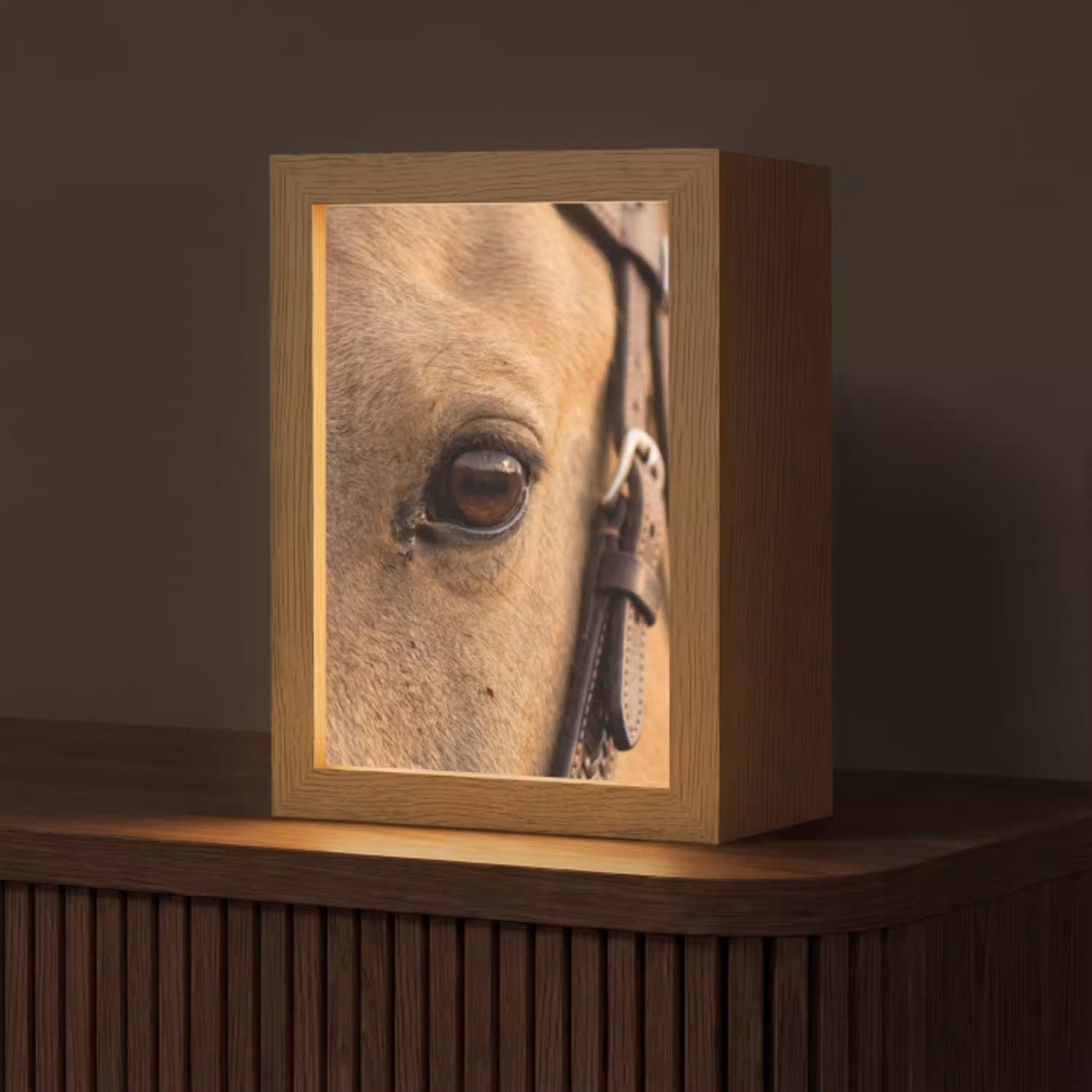 Paard - Oog - Bruin Light Box met kabel (Tafellamp) klein -z3d_website