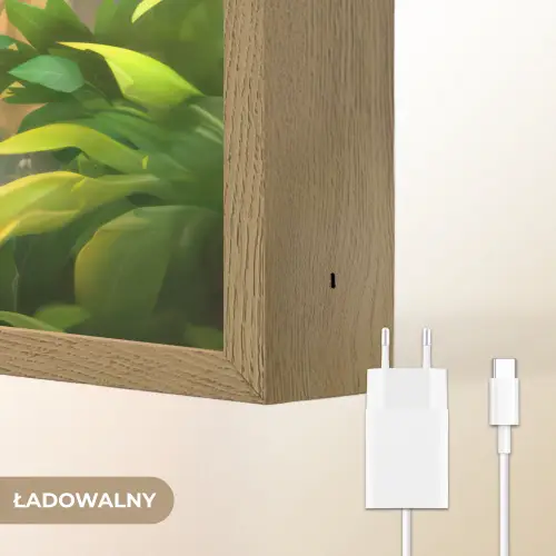 Panda - Wilde dieren - Jungle - Jongens - Kinderen Light Box met batterij (Wandlamp kind) middel -USP_websiteoplaadbaarNL