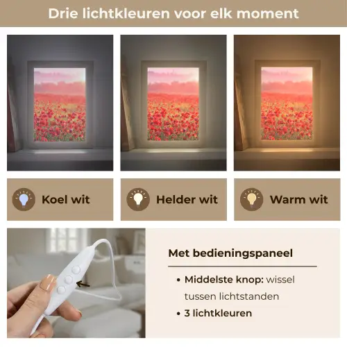 Bloemen - Klaprozen - Rood - Bloemenveld Light Box met kabel (Tafellamp) klein -USP_lichtkleurNL