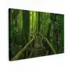 Jungle - Brug - Mos - Natuur - Tropisch canvas 2cm klein -z3d