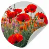 Klaproos - Bloemen - Rood - Paars - Weide Wandcirkel behangsticker klein -3d