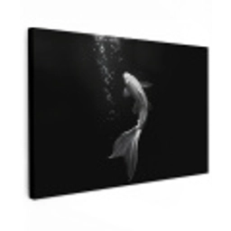 Koi - Vis - Wit - Zwart Tuinposter op houten frame 2 cm dik klein -3d