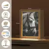 Paard - Schimmel - Portret Light Box met kabel (Tafellamp) klein -USP_websiteoverzichtDE