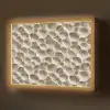 Schelpen - Waaiervorm - Wit Light Box met batterij (Wandlamp) middel 907 -z3d_website