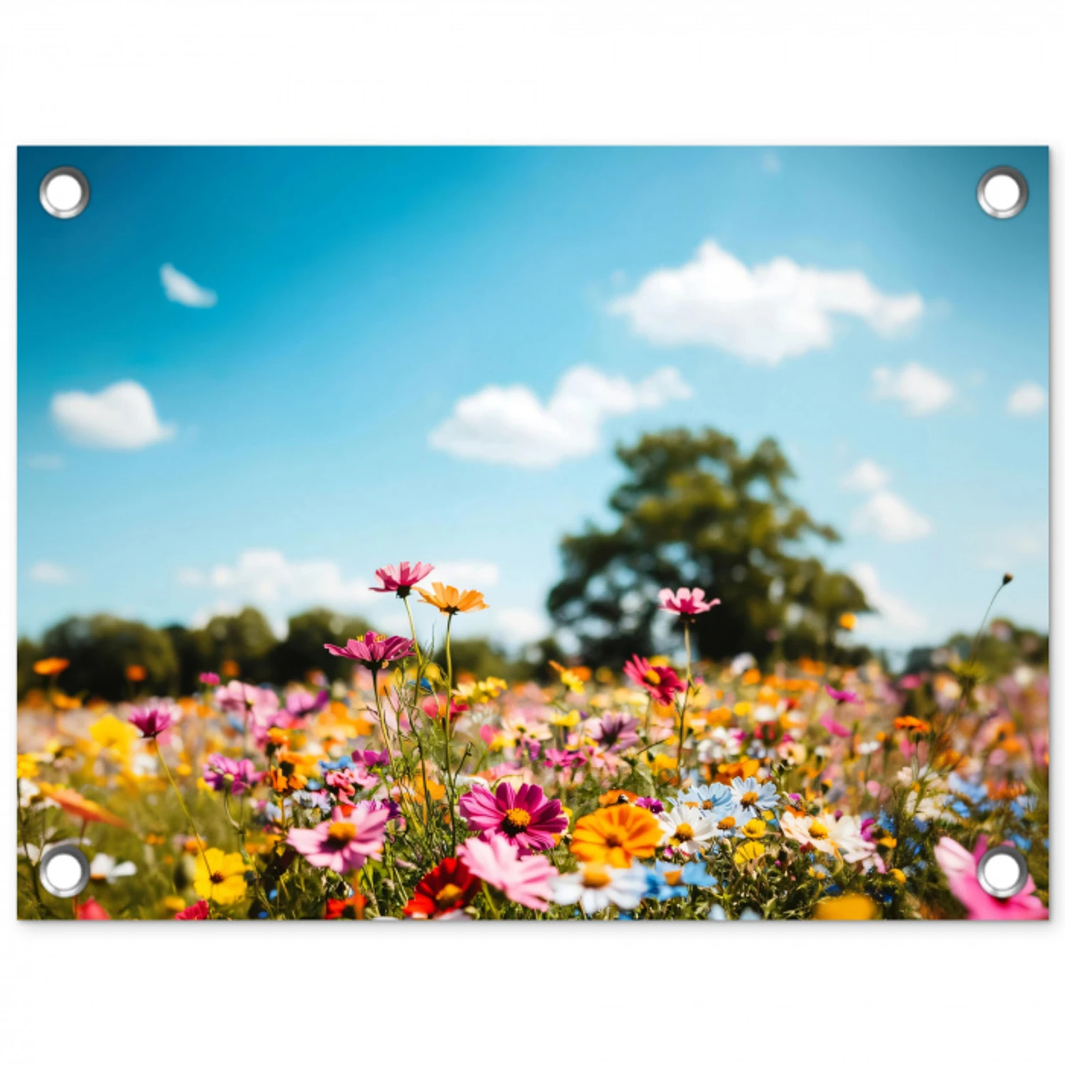 Bloemenweide - Blauw - Lucht - Kleuren tuinposter los doek klein -3d