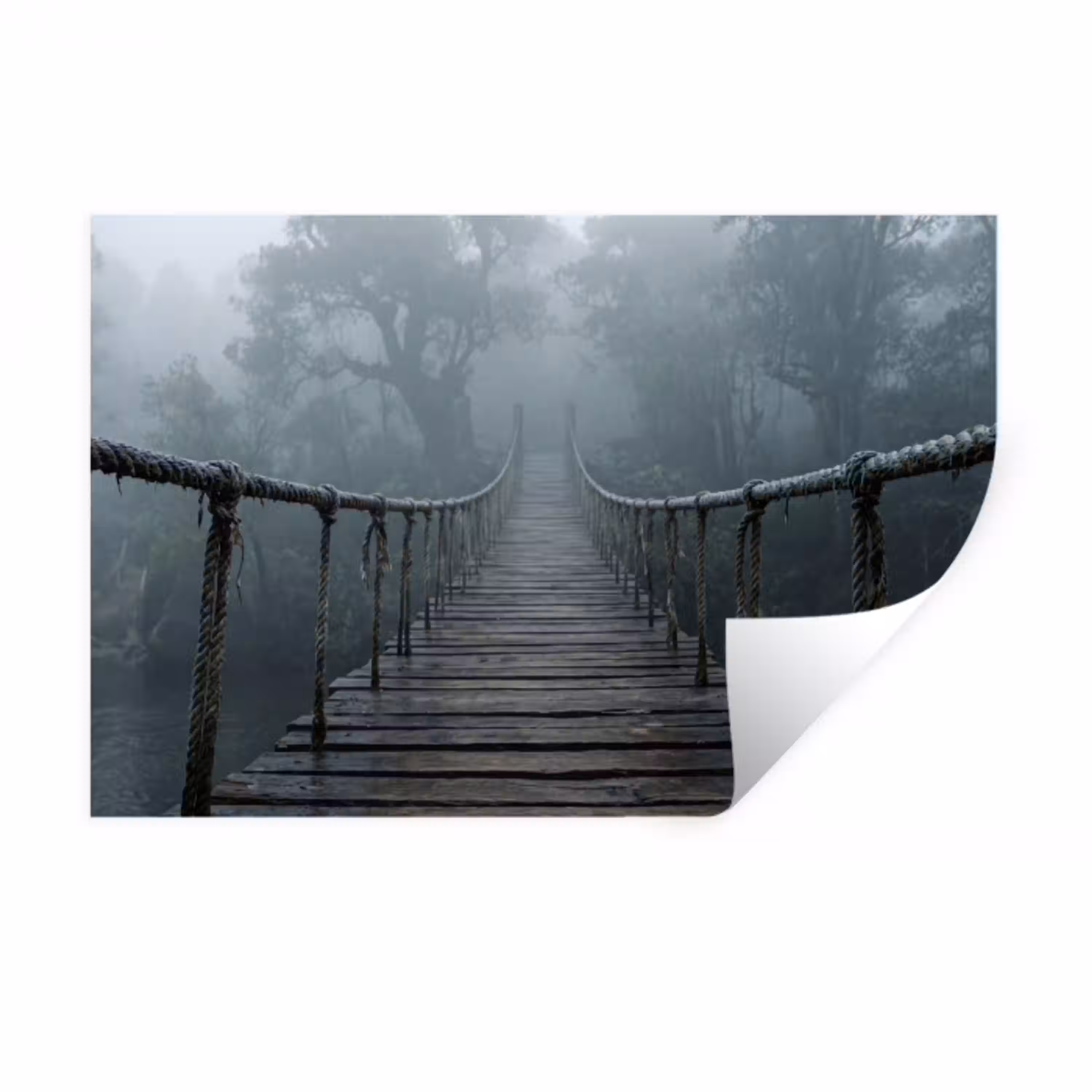 Brug - Jungle - Mist - Natuur Muursticker klein -3d