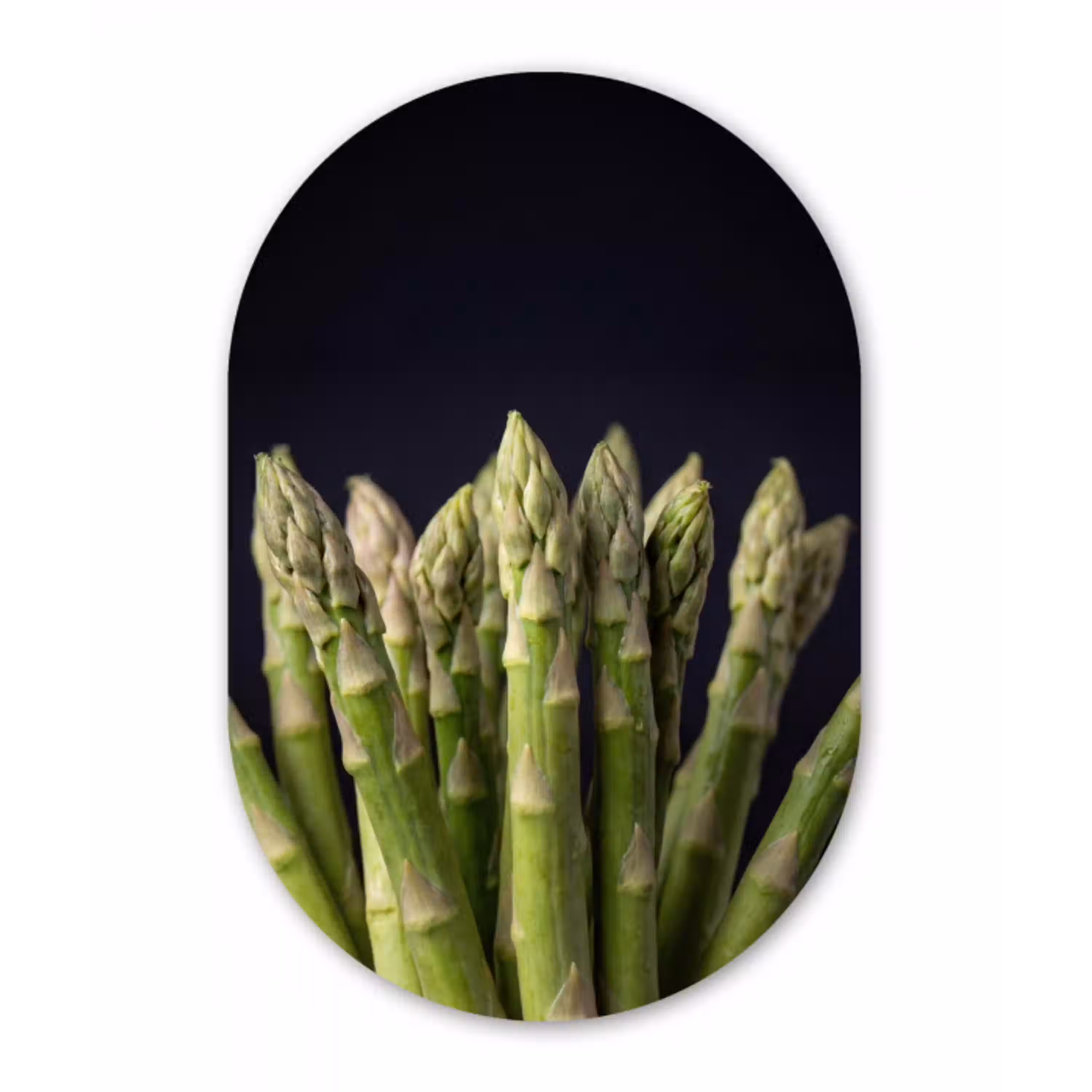 Asperges - Groen - Zwart Wandcirkel Ovaal Aluminium middel -3d