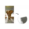Olifant - Weg - Dieren - Zonsondergang - Landschap fotobehang vinyl groot -3d