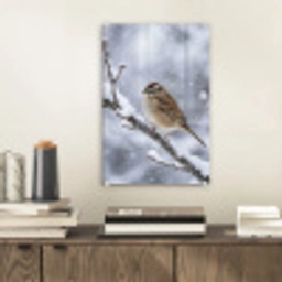 Vogel - Tak - Sneeuw - Winter plexiglas 5mm klein -sfeer1