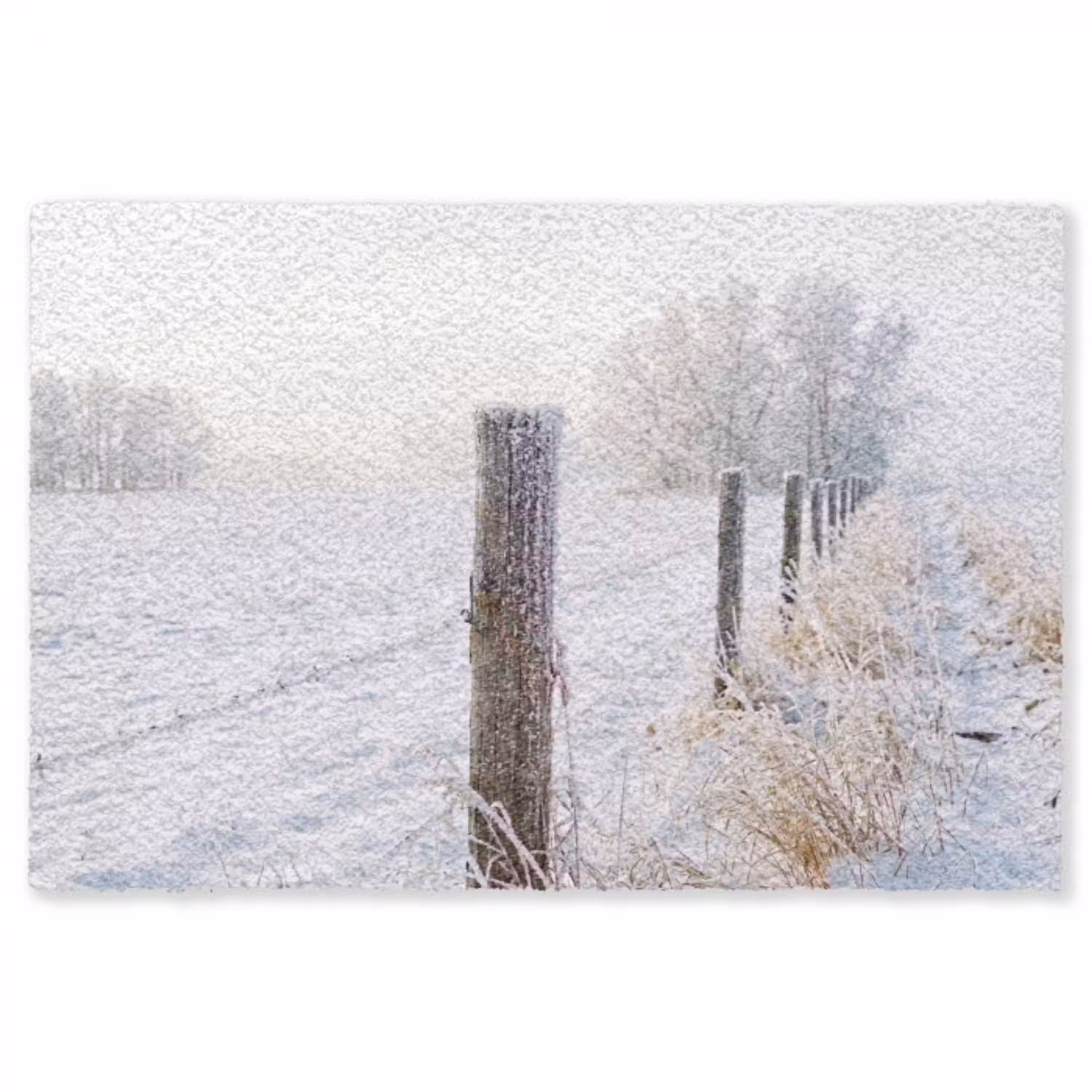 Hek - Sneeuw - Mist - Platteland - Nostalgisch Vloerkleed Rechthoek klein -3d