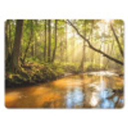 Bos - Beek - Zonlicht - Natuur - Groen muismat rubber klein -3d