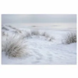 Duinen - Sneeuw - Strand - Winter - Serene poster papier klein -3d