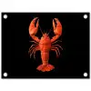 Kreeft - Papier - Origami papier - Rood tuinposter los doek klein -3d