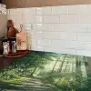 Bos - Pad - Zon - Bomen - Groen - Natuur Inductie beschermer vinyl 3mm middel -sfeer3