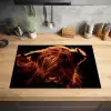 Schotse hooglander - Koe - Hoorns - Portret - Dieren Inductie beschermer vinyl 3mm klein -sfeer5