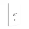 Quotes - Lief - Spreuken aluminium wit klein -3d