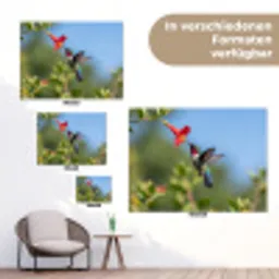 Kolibrie - Bloem - Natuur - Groen tuinposter los doek klein -Xsfeer9_DE