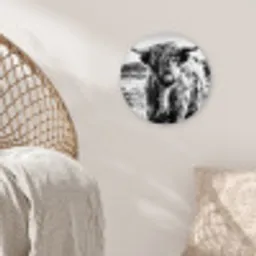 Schotse hooglander - Natuur - Koe - Zwart - Wit Wandcirkel kunststof plaat 5mm dik klein -sfeer5