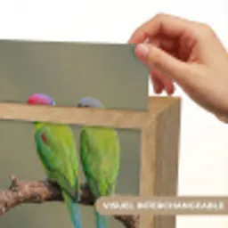 Papagaai - Tak - Natuur - Kleurrijk Light Box met kabel (Kinderlampje) klein -USP_websiteprintFR