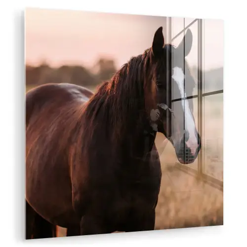 Paard - Zonsondergang - Bruin plexiglas 5mm klein -zzzproduct_nieuw