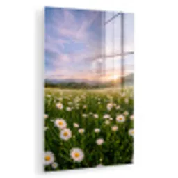 Madelief - Veld - Heuvels - Groen plexiglas 5mm klein -zzzproduct_nieuw