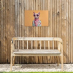 Zonnebril - Kat - Sjaal - Bloemen Tuinposter op houten frame 2 cm dik klein -sfeer4