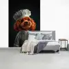 Bruin - Kok - Hondje fotobehang vinyl groot -slaapkamer