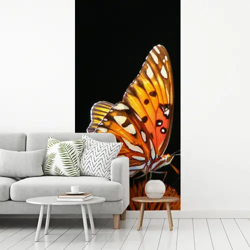 Vlinder - Bloemen - Insect - Portret - Zwart - Oranje fotobehang vinyl groot -woonkamer