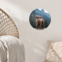 Schotse hooglander - Berg - Landschap - Bomen - Koe - Natuur Wandcirkel behangsticker klein -sfeer4