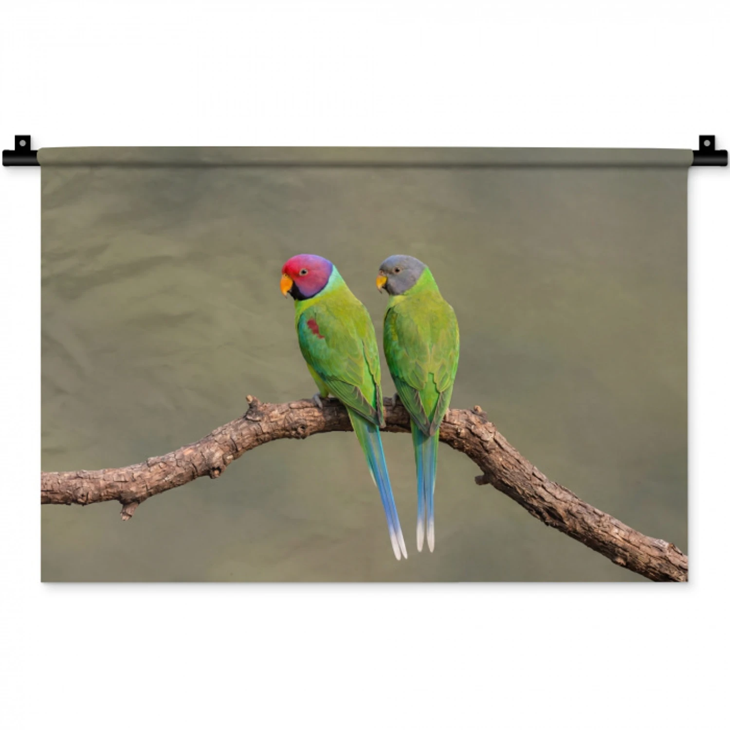 Papagaai - Tak - Natuur - Kleurrijk Wandkleed katoen klein -zz3d