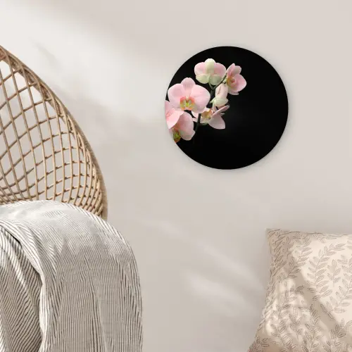 Orchidee - Bloemen - Roze - Stilleven - Flora Wandcirkel kunststof plaat 5mm dik klein -sfeer5