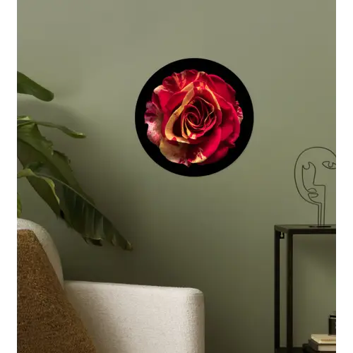 Bloem - Roos - Rood - Zwart Wandcirkel behangsticker klein -sfeer2